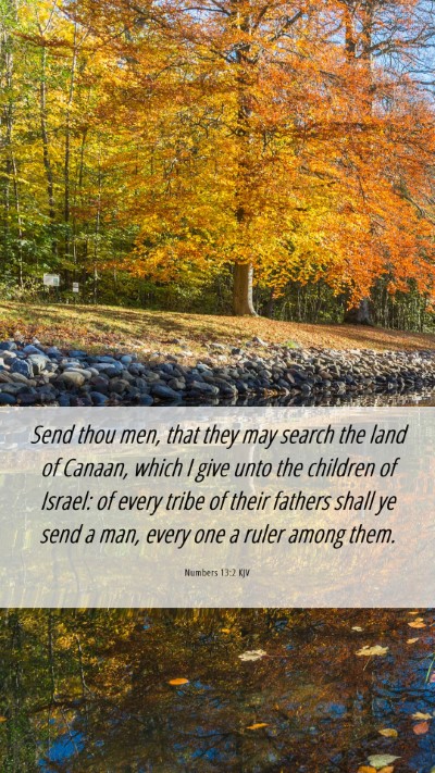 Picture 06 - Numbers 13:2 KJV Mobile Phone Wallpaper - Send thou men, that they may search the land of - Mobile Bible Verse Wallpaper