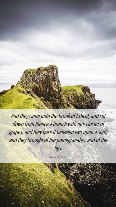 Picture 06 - Numbers 13:23 KJV Mobile Phone Wallpaper - And they came unto the brook of Eshcol, and cut - Mobile Bible Verse Wallpaper