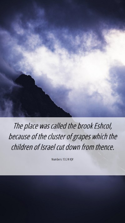 Picture 06 - Numbers 13:24 KJV Mobile Phone Wallpaper - The place was called the brook Eshcol, because of - Mobile Bible Verse Wallpaper