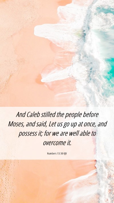 Picture 06 - Numbers 13:30 KJV Mobile Phone Wallpaper - And Caleb stilled the people before Moses, and - Mobile Bible Verse Wallpaper