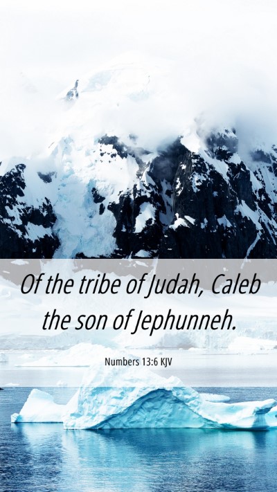 Picture 06 - Numbers 13:6 KJV Mobile Phone Wallpaper - Of the tribe of Judah, Caleb the son of - Mobile Bible Verse Wallpaper