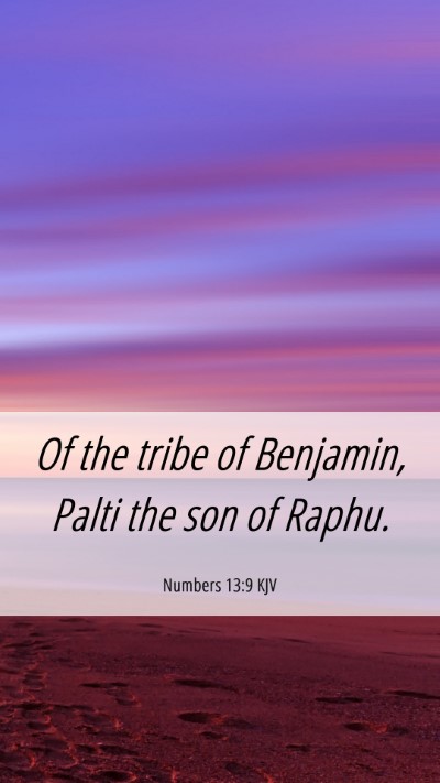 Picture 06 - Numbers 13:9 KJV Mobile Phone Wallpaper - Of the tribe of Benjamin, Palti the son of - Mobile Bible Verse Wallpaper