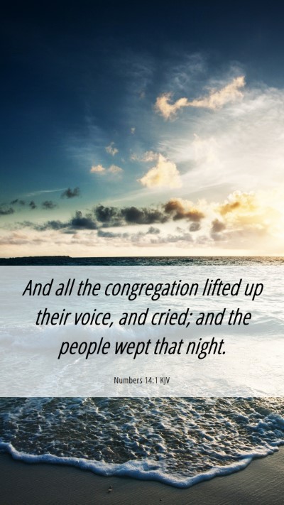 Picture 06 - Numbers 14:1 KJV Mobile Phone Wallpaper - And all the congregation lifted up their voice, - Mobile Bible Verse Wallpaper
