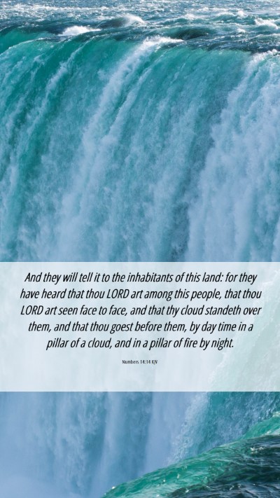 Picture 06 - Numbers 14:14 KJV Mobile Phone Wallpaper - And they will tell it to the inhabitants of this - Mobile Bible Verse Wallpaper