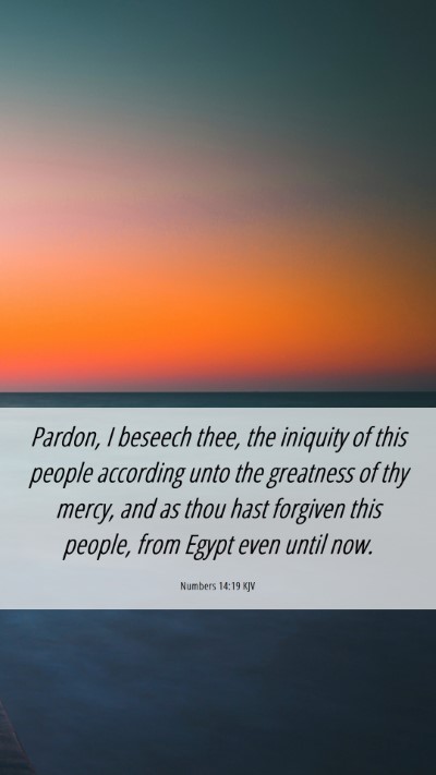 Picture 06 - Numbers 14:19 KJV Mobile Phone Wallpaper - Pardon, I beseech thee, the iniquity of this - Mobile Bible Verse Wallpaper