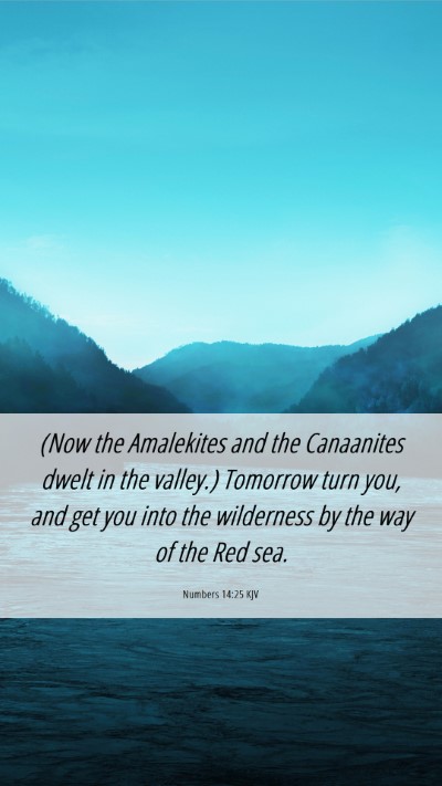 Picture 06 - Numbers 14:25 KJV Mobile Phone Wallpaper - (Now the Amalekites and the Canaanites dwelt in - Mobile Bible Verse Wallpaper