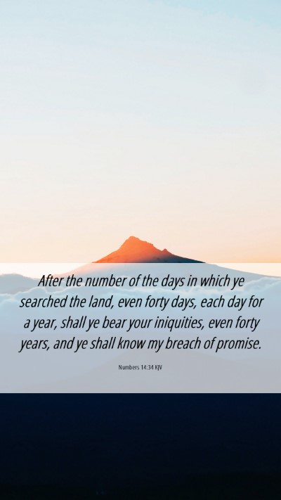Picture 06 - Numbers 14:34 KJV Mobile Phone Wallpaper - After the number of the days in which ye searched - Mobile Bible Verse Wallpaper