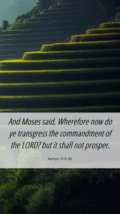 Picture 06 - Numbers 14:41 KJV Mobile Phone Wallpaper - And Moses said, Wherefore now do ye transgress - Mobile Bible Verse Wallpaper