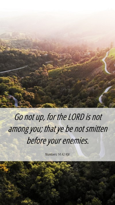 Picture 06 - Numbers 14:42 KJV Mobile Phone Wallpaper - Go not up, for the LORD is not among you; that ye - Mobile Bible Verse Wallpaper