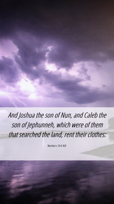 Picture 06 - Numbers 14:6 KJV Mobile Phone Wallpaper - And Joshua the son of Nun, and Caleb the son of - Mobile Bible Verse Wallpaper