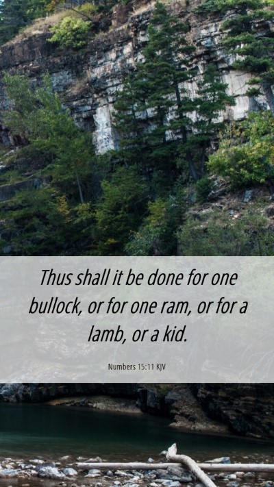 Picture 06 - Numbers 15:11 KJV Mobile Phone Wallpaper - Thus shall it be done for one bullock, or for one - Mobile Bible Verse Wallpaper