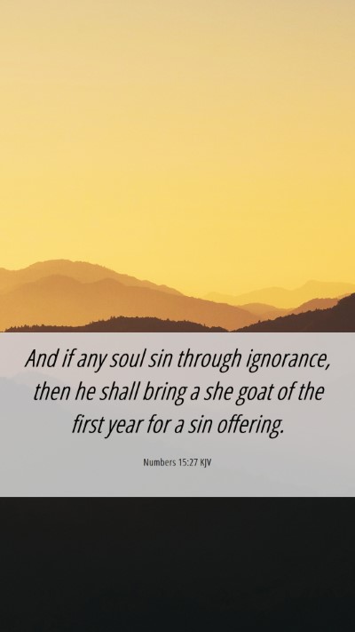 Picture 06 - Numbers 15:27 KJV Mobile Phone Wallpaper - And if any soul sin through ignorance, then he - Mobile Bible Verse Wallpaper