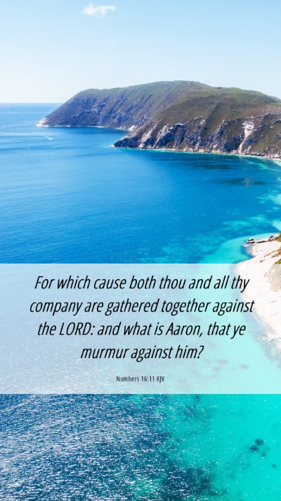 Picture 06 - Numbers 16:11 KJV Mobile Phone Wallpaper - For which cause both thou and all thy company are - Mobile Bible Verse Wallpaper