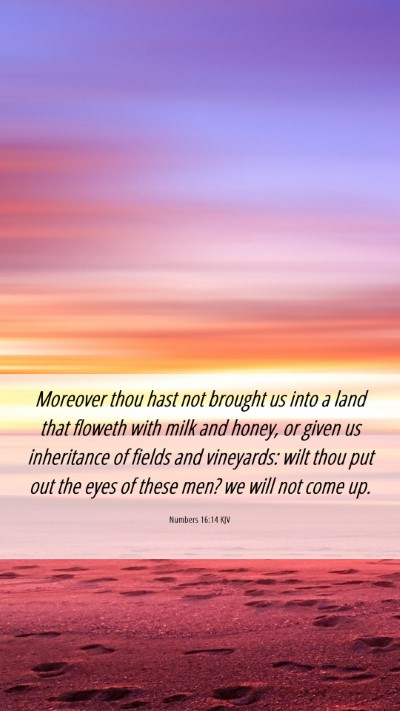 Picture 06 - Numbers 16:14 KJV Mobile Phone Wallpaper - Moreover thou hast not brought us into a land - Mobile Bible Verse Wallpaper
