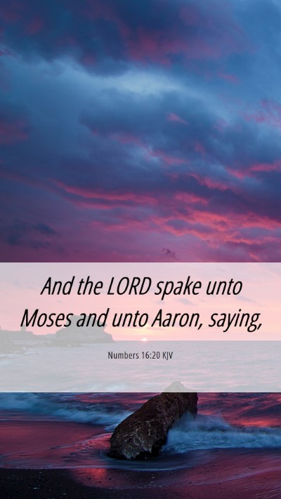 Picture 06 - Numbers 16:20 KJV Mobile Phone Wallpaper - And the LORD spake unto Moses and unto Aaron, - Mobile Bible Verse Wallpaper
