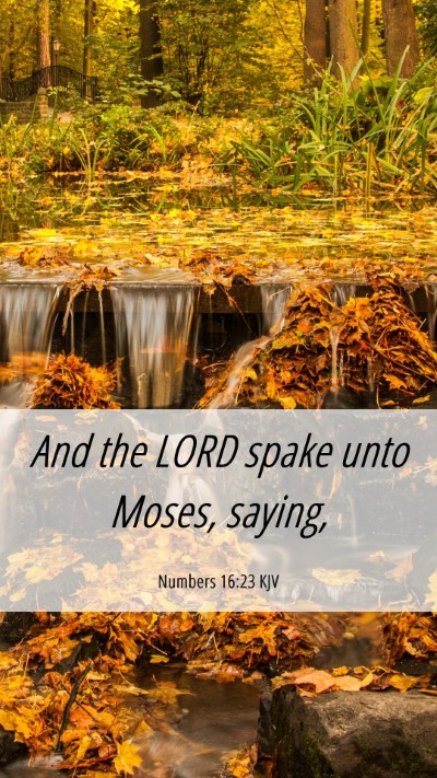 Picture 06 - Numbers 16:23 KJV Mobile Phone Wallpaper - And the LORD spake unto Moses, - Mobile Bible Verse Wallpaper
