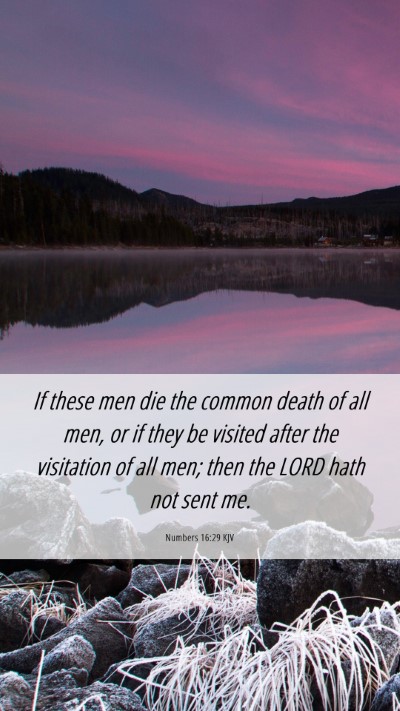 Picture 06 - Numbers 16:29 KJV Mobile Phone Wallpaper - If these men die the common death of all men, or - Mobile Bible Verse Wallpaper