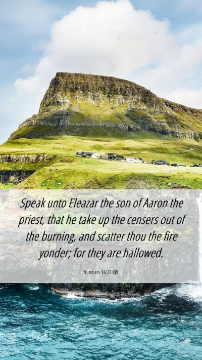 Picture 06 - Numbers 16:37 KJV Mobile Phone Wallpaper - Speak unto Eleazar the son of Aaron the priest, - Mobile Bible Verse Wallpaper