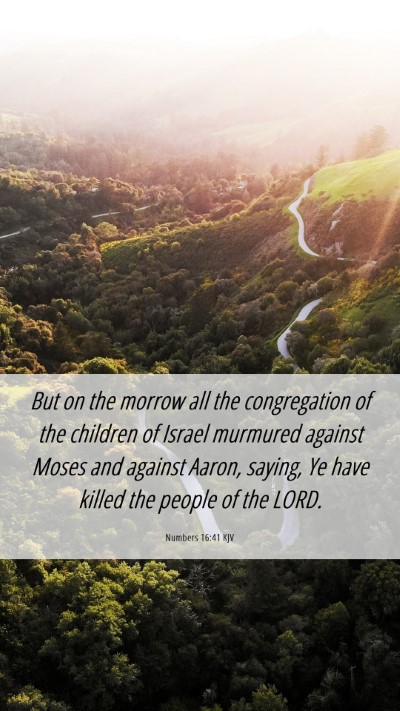 Picture 06 - Numbers 16:41 KJV Mobile Phone Wallpaper - But on the morrow all the congregation of the - Mobile Bible Verse Wallpaper