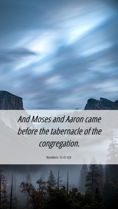 Picture 06 - Numbers 16:43 KJV Mobile Phone Wallpaper - And Moses and Aaron came before the tabernacle of - Mobile Bible Verse Wallpaper