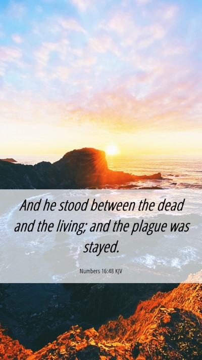 Picture 06 - Numbers 16:48 KJV Mobile Phone Wallpaper - And he stood between the dead and the living; and - Mobile Bible Verse Wallpaper