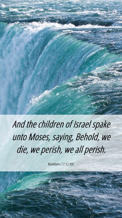 Picture 06 - Numbers 17:12 KJV Mobile Phone Wallpaper - And the children of Israel spake unto Moses, - Mobile Bible Verse Wallpaper