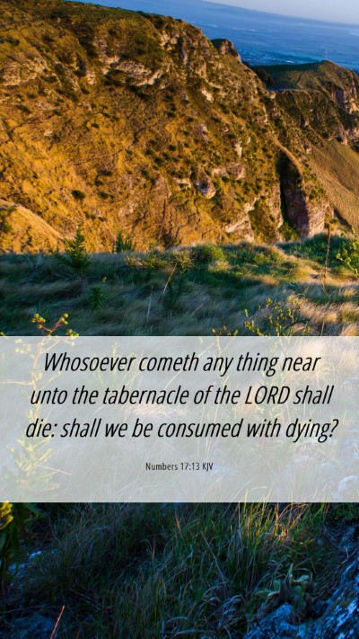Picture 06 - Numbers 17:13 KJV Mobile Phone Wallpaper - Whosoever cometh any thing near unto the - Mobile Bible Verse Wallpaper