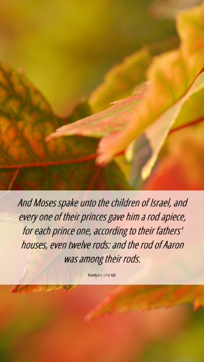 Picture 06 - Numbers 17:6 KJV Mobile Phone Wallpaper - And Moses spake unto the children of Israel, and - Mobile Bible Verse Wallpaper