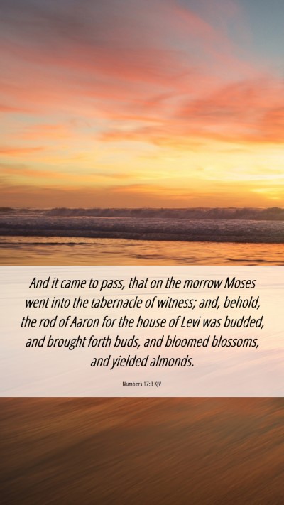 Picture 06 - Numbers 17:8 KJV Mobile Phone Wallpaper - And it came to pass, that on the morrow Moses - Mobile Bible Verse Wallpaper