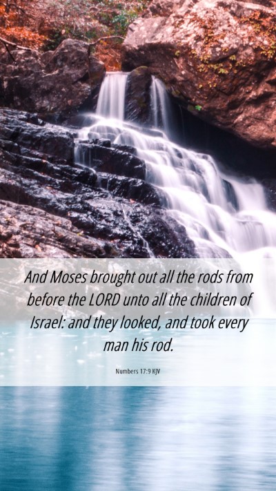 Picture 06 - Numbers 17:9 KJV Mobile Phone Wallpaper - And Moses brought out all the rods from before - Mobile Bible Verse Wallpaper