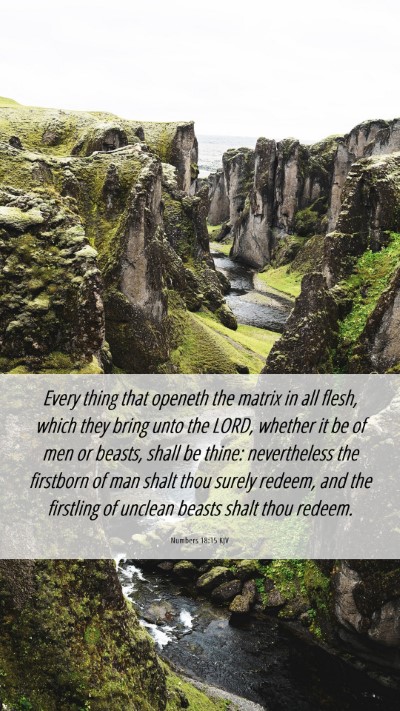 Picture 06 - Numbers 18:15 KJV Mobile Phone Wallpaper - Every thing that openeth the matrix in all flesh, - Mobile Bible Verse Wallpaper