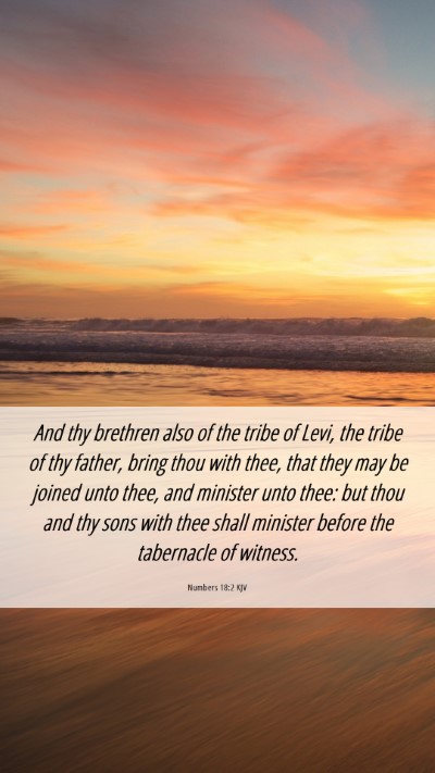 Picture 06 - Numbers 18:2 KJV Mobile Phone Wallpaper - And thy brethren also of the tribe of Levi, the - Mobile Bible Verse Wallpaper