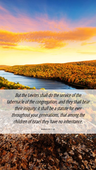 Picture 06 - Numbers 18:23 KJV Mobile Phone Wallpaper - But the Levites shall do the service of the - Mobile Bible Verse Wallpaper