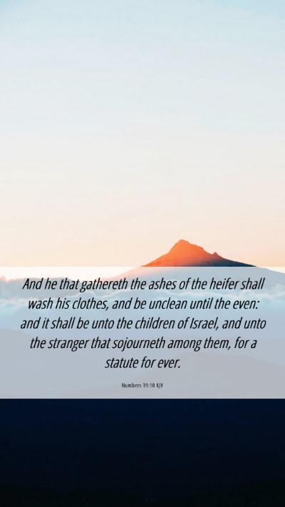 Picture 06 - Numbers 19:10 KJV Mobile Phone Wallpaper - And he that gathereth the ashes of the heifer - Mobile Bible Verse Wallpaper