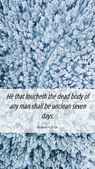 Picture 06 - Numbers 19:11 KJV Mobile Phone Wallpaper - He that toucheth the dead body of any man shall - Mobile Bible Verse Wallpaper