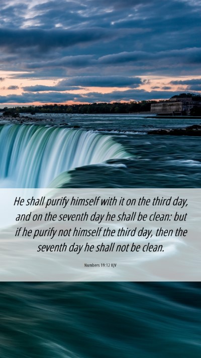 Picture 06 - Numbers 19:12 KJV Mobile Phone Wallpaper - He shall purify himself with it on the third day, - Mobile Bible Verse Wallpaper