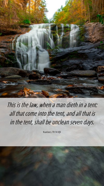 Picture 06 - Numbers 19:14 KJV Mobile Phone Wallpaper - This is the law, when a man dieth in a tent: all - Mobile Bible Verse Wallpaper