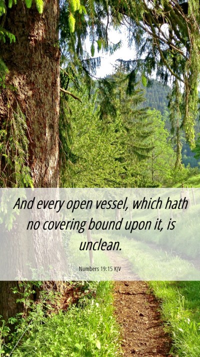 Picture 06 - Numbers 19:15 KJV Mobile Phone Wallpaper - And every open vessel, which hath no covering - Mobile Bible Verse Wallpaper