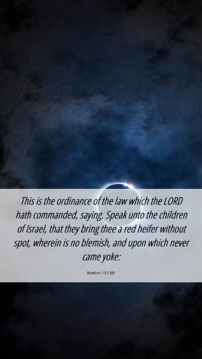 Picture 06 - Numbers 19:2 KJV Mobile Phone Wallpaper - This is the ordinance of the law which the LORD - Mobile Bible Verse Wallpaper