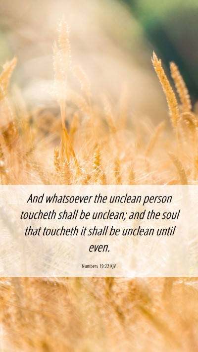 Picture 06 - Numbers 19:22 KJV Mobile Phone Wallpaper - And whatsoever the unclean person toucheth shall - Mobile Bible Verse Wallpaper