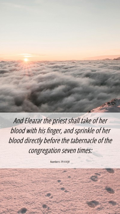 Picture 06 - Numbers 19:4 KJV Mobile Phone Wallpaper - And Eleazar the priest shall take of her blood - Mobile Bible Verse Wallpaper