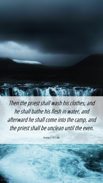 Picture 06 - Numbers 19:7 KJV Mobile Phone Wallpaper - Then the priest shall wash his clothes, and he - Mobile Bible Verse Wallpaper