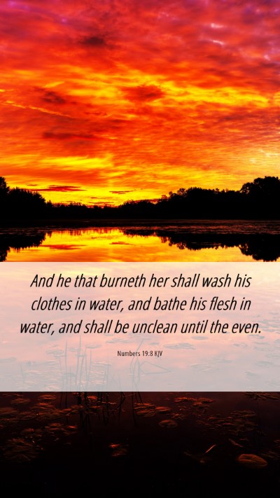Picture 06 - Numbers 19:8 KJV Mobile Phone Wallpaper - And he that burneth her shall wash his clothes in - Mobile Bible Verse Wallpaper