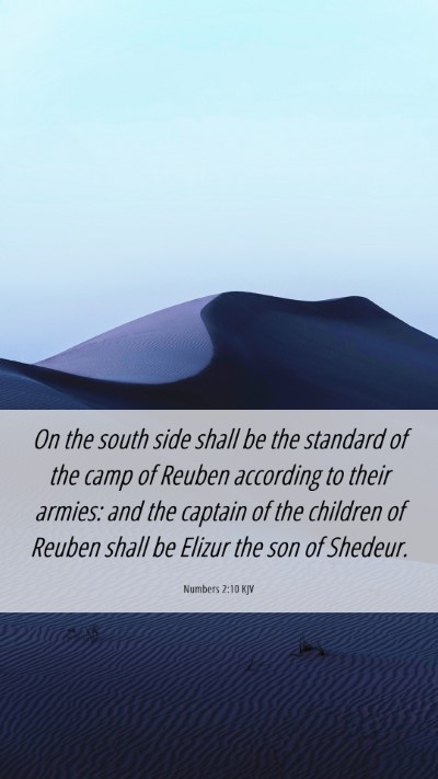 Picture 06 - Numbers 2:10 KJV Mobile Phone Wallpaper - On the south side shall be the standard of the - Mobile Bible Verse Wallpaper