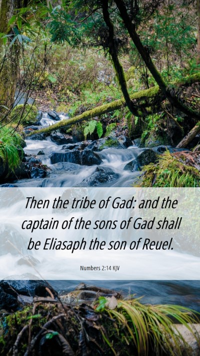 Picture 06 - Numbers 2:14 KJV Mobile Phone Wallpaper - Then the tribe of Gad: and the captain of the - Mobile Bible Verse Wallpaper