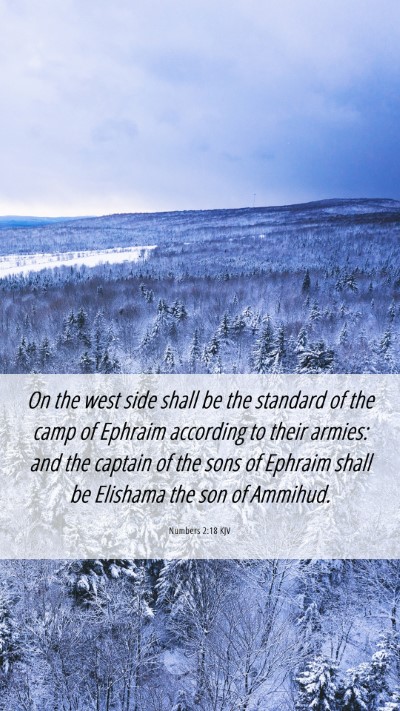 Picture 06 - Numbers 2:18 KJV Mobile Phone Wallpaper - On the west side shall be the standard of the - Mobile Bible Verse Wallpaper
