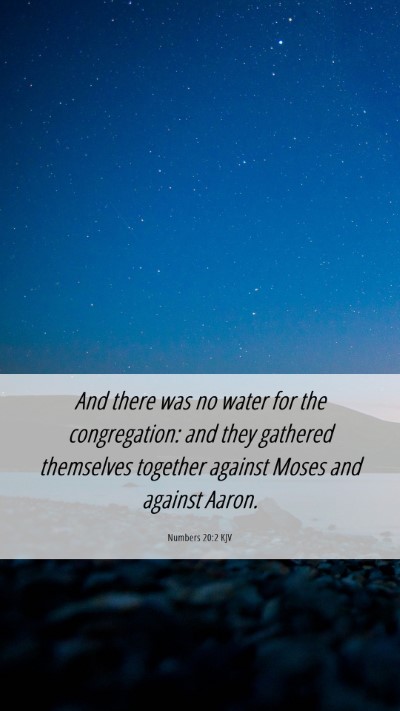 Picture 06 - Numbers 20:2 KJV Mobile Phone Wallpaper - And there was no water for the congregation: and - Mobile Bible Verse Wallpaper