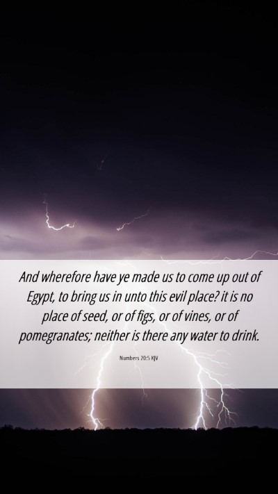 Picture 06 - Numbers 20:5 KJV Mobile Phone Wallpaper - And wherefore have ye made us to come up out of - Mobile Bible Verse Wallpaper