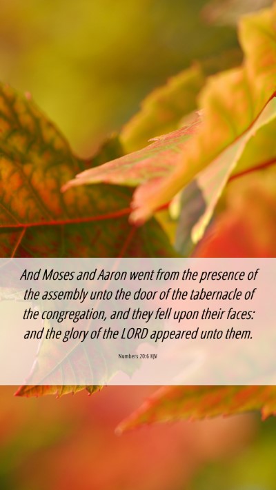 Picture 06 - Numbers 20:6 KJV Mobile Phone Wallpaper - And Moses and Aaron went from the presence of the - Mobile Bible Verse Wallpaper