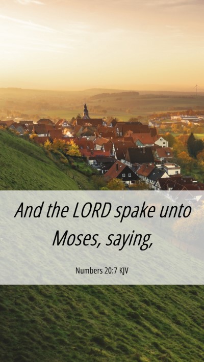 Picture 06 - Numbers 20:7 KJV Mobile Phone Wallpaper - And the LORD spake unto Moses, - Mobile Bible Verse Wallpaper